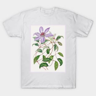 Violet Clematis Flower Branch T-Shirt